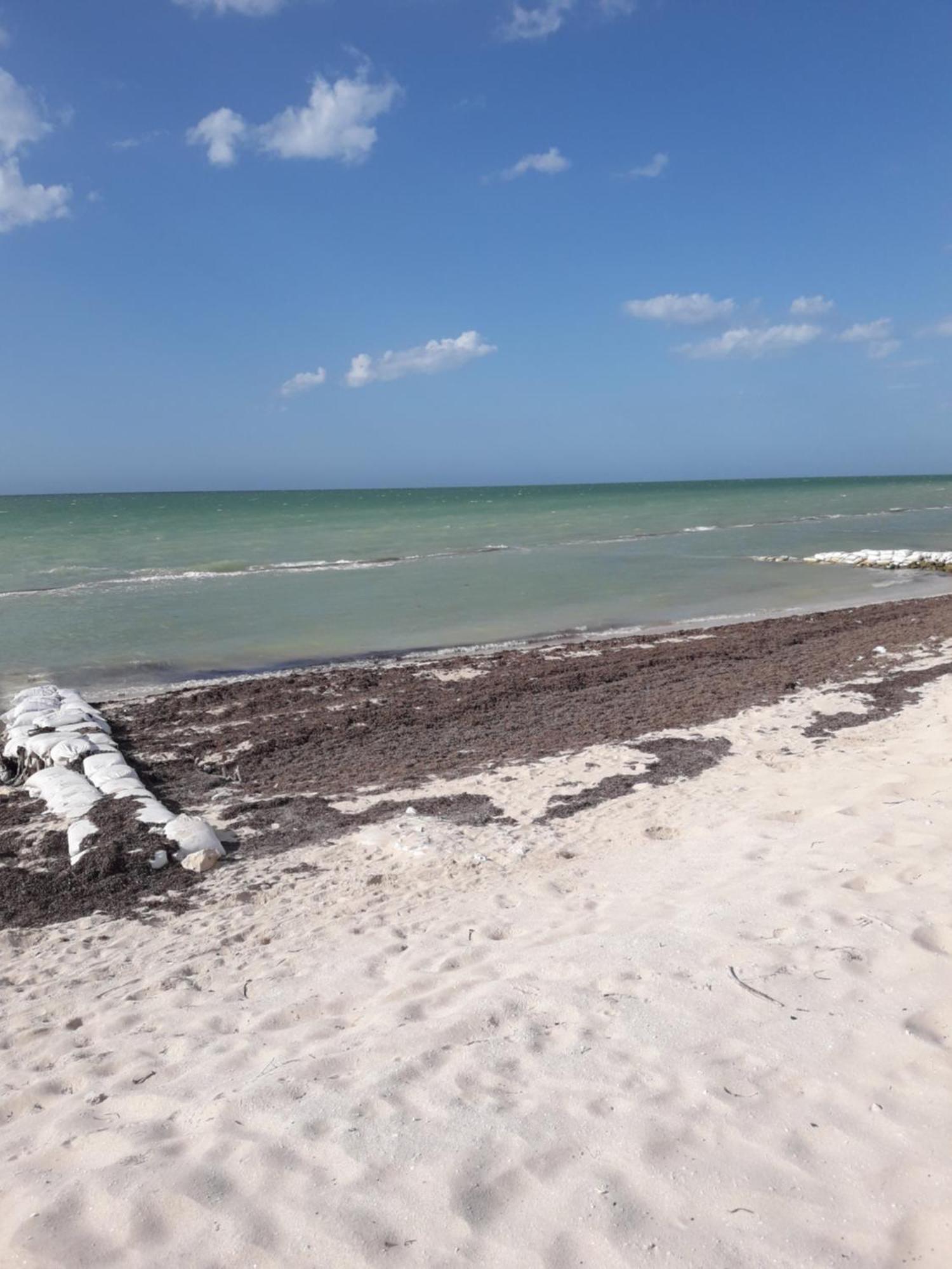 Casa Pepe Vacation Rental Progreso โปรเกรโซ ภายนอก รูปภาพ
